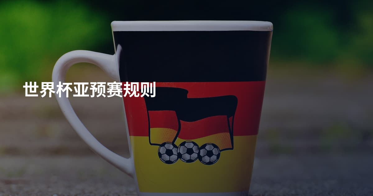 世界杯亚预赛规则