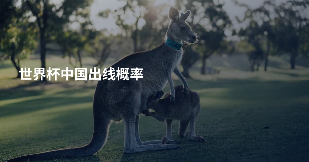 世界杯中国出线概率