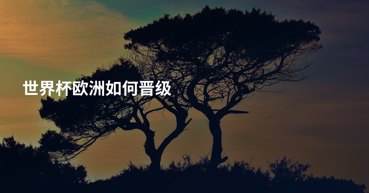 世界杯欧洲如何晋级