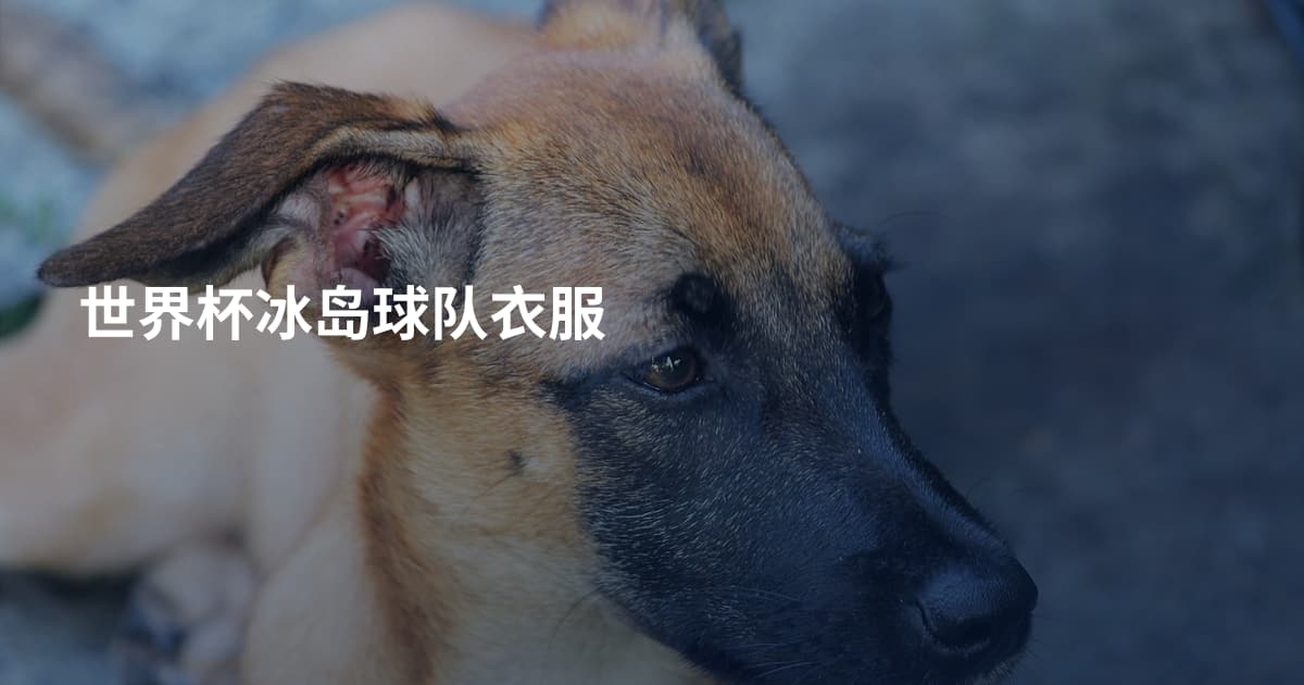 世界杯冰岛球队衣服