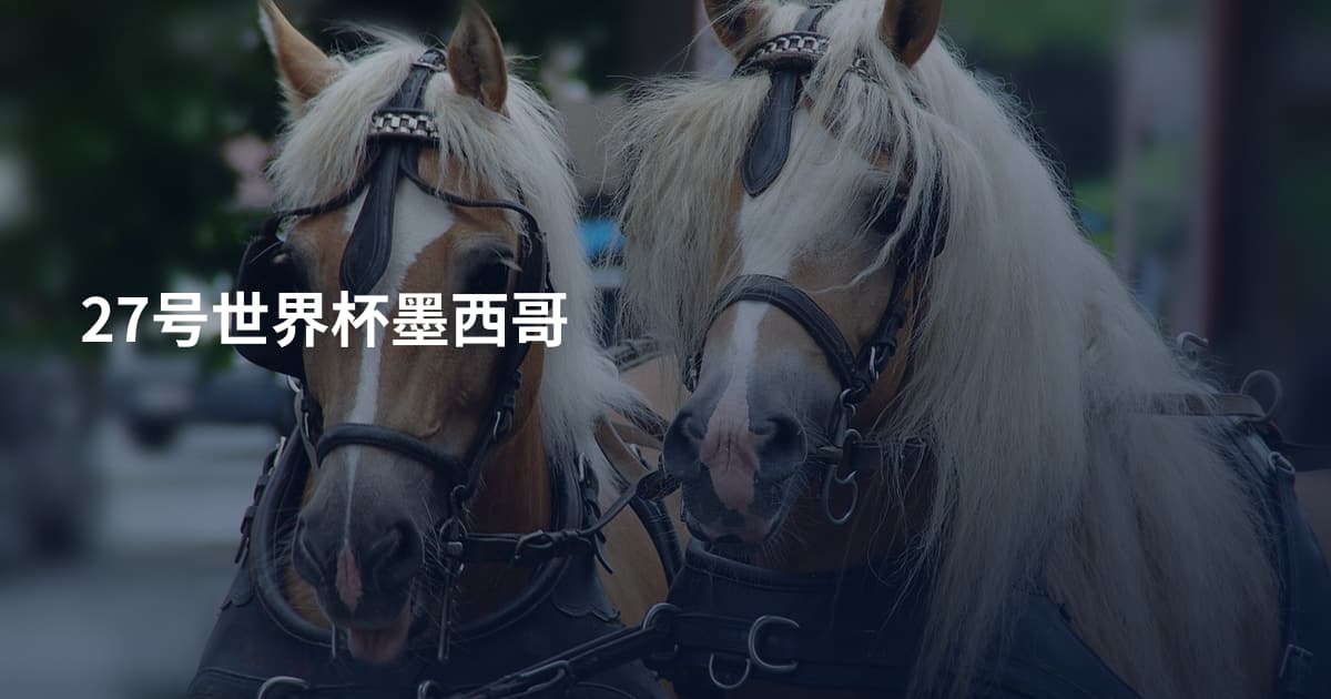 27号世界杯墨西哥
