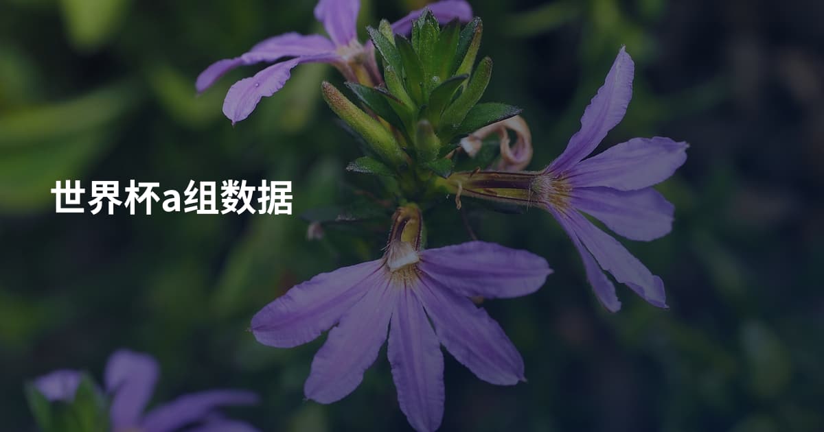 世界杯a组数据