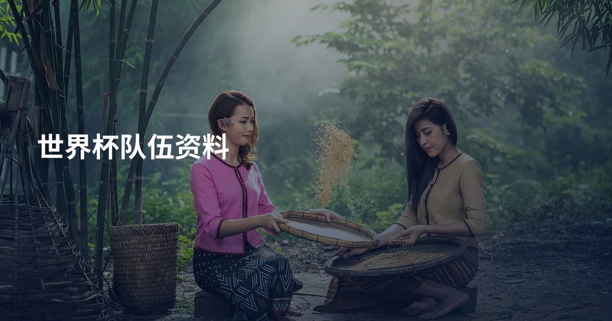 世界杯队伍资料