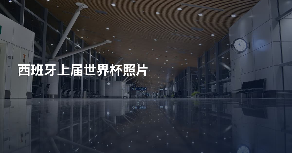 西班牙上届世界杯照片