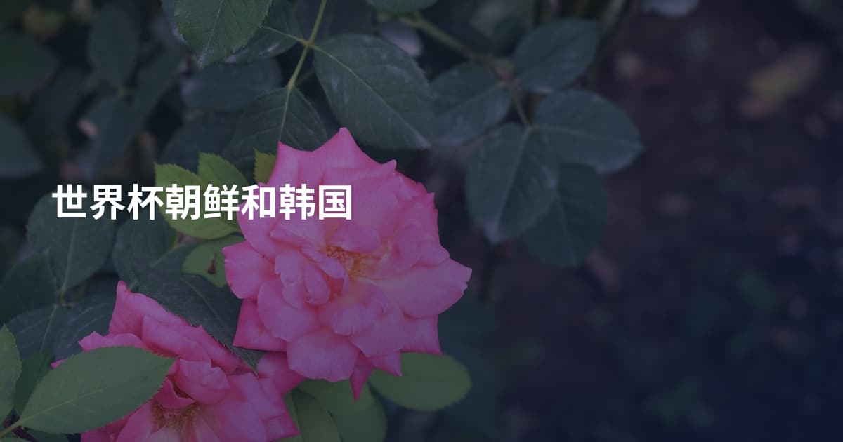 世界杯朝鲜和韩国