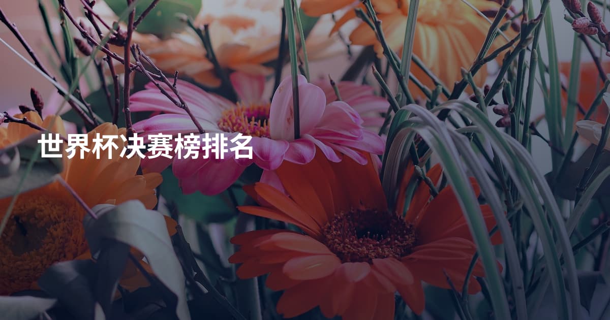 世界杯决赛榜排名