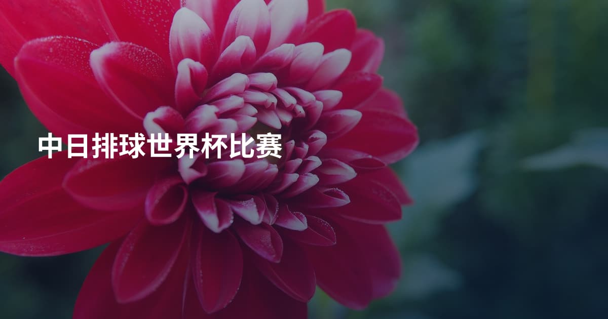 中日排球世界杯比赛