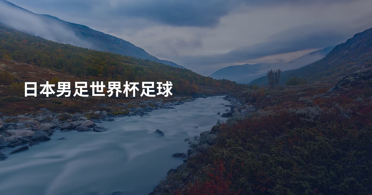 日本男足世界杯足球