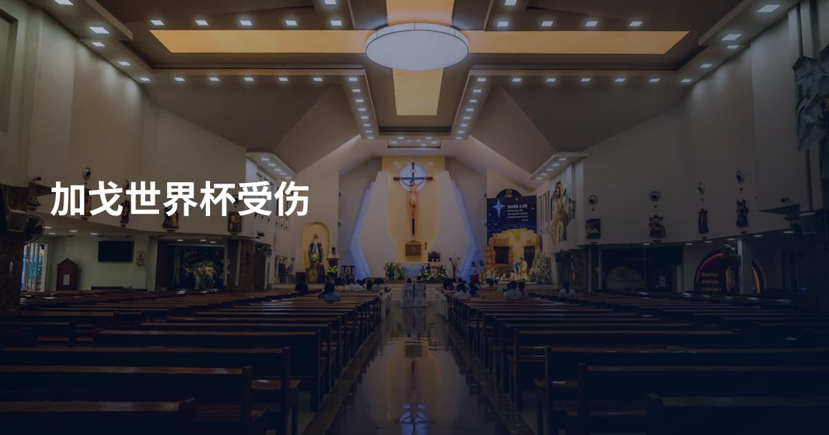 加戈世界杯受伤