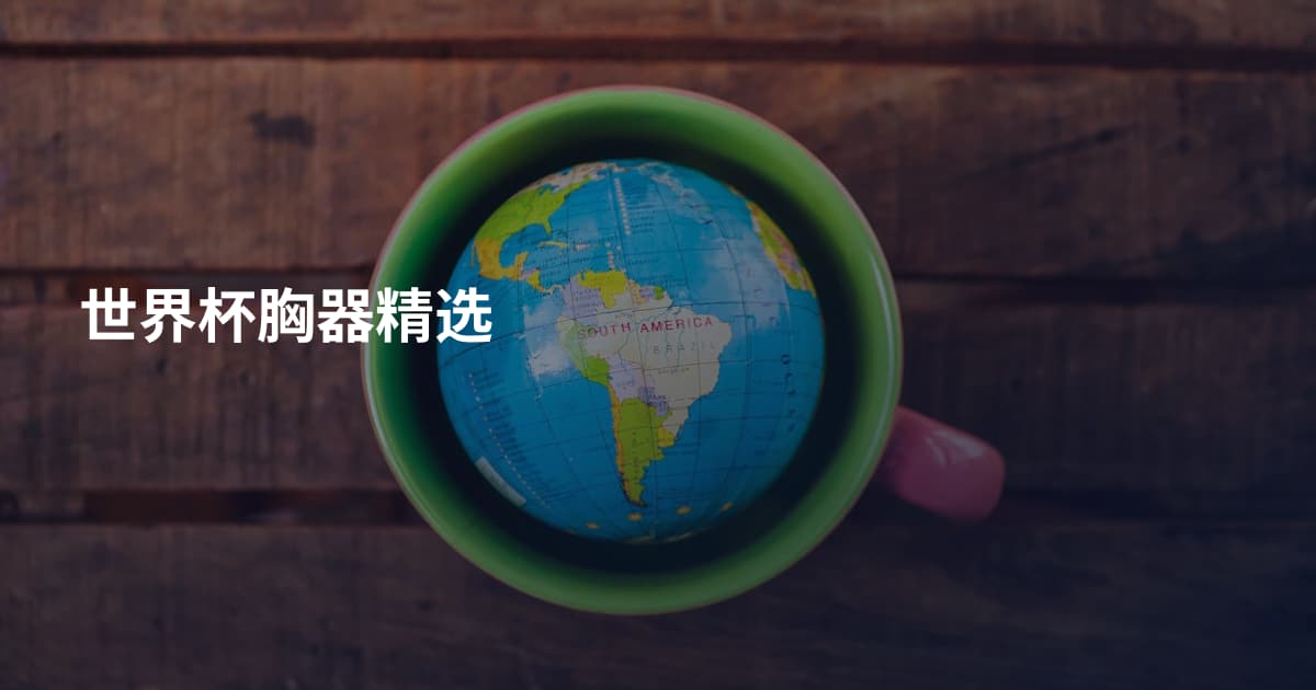 世界杯胸器精选