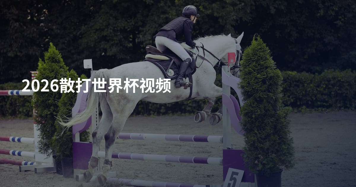 2026散打世界杯视频