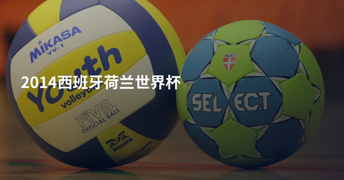 2014西班牙荷兰世界杯