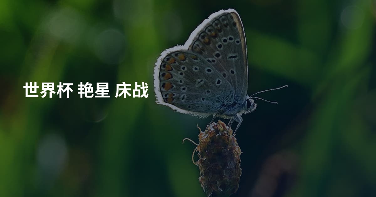 世界杯 艳星 床战