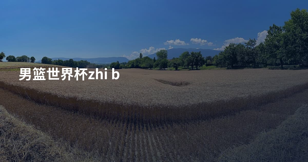 男篮世界杯zhi b