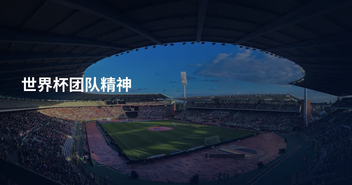 世界杯团队精神