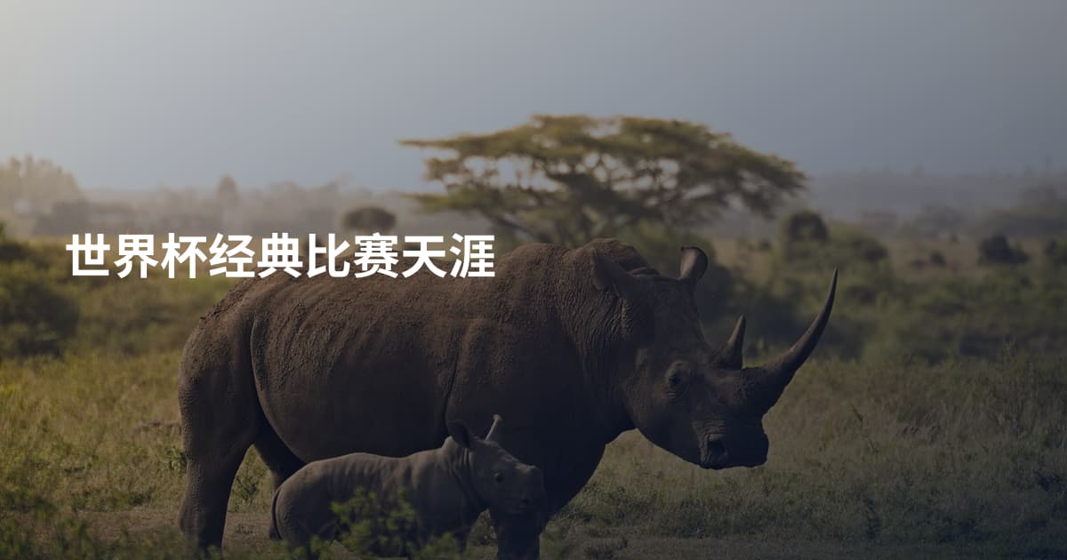 世界杯经典比赛天涯
