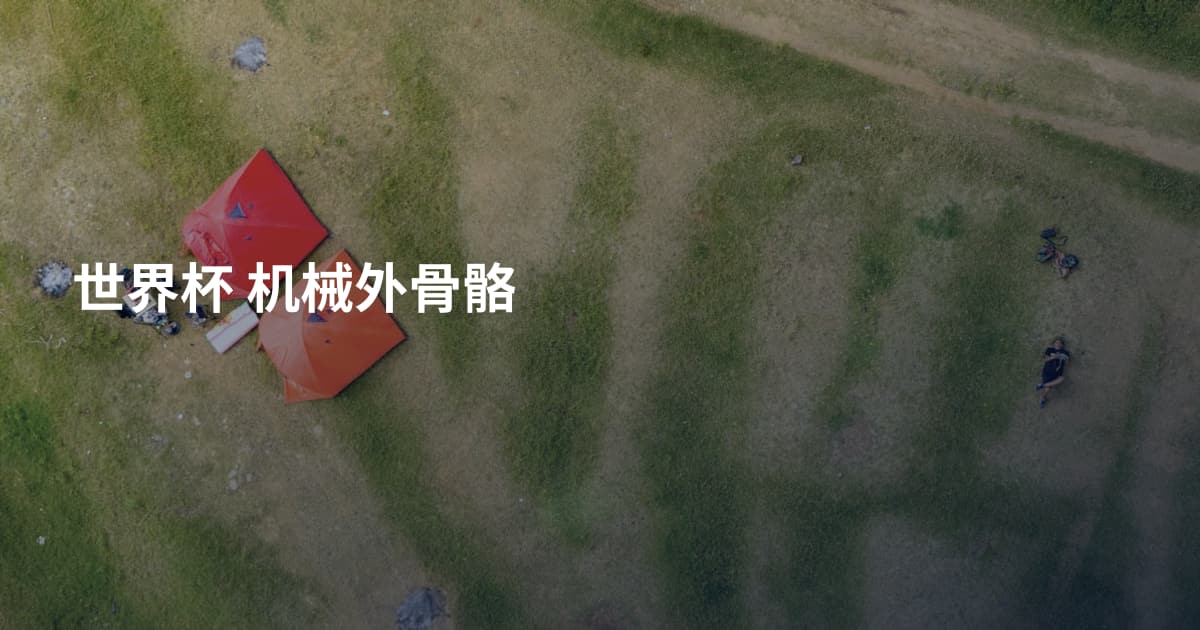 世界杯 机械外骨骼