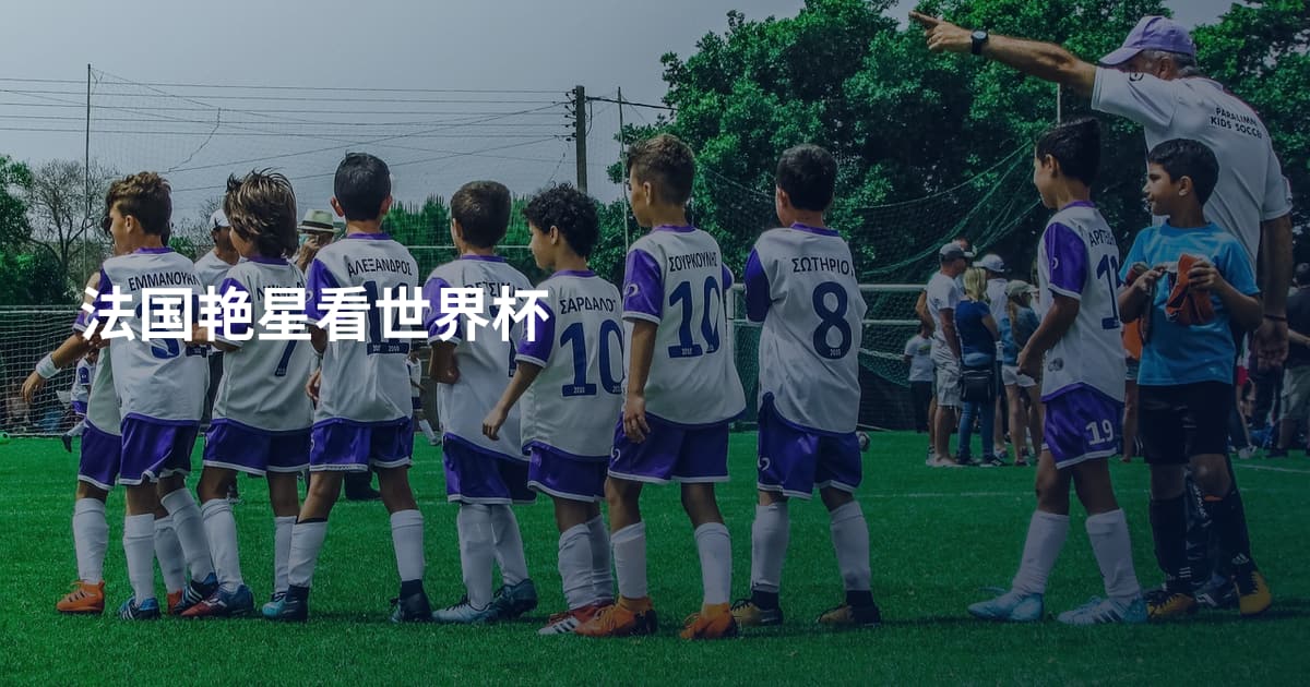 法国艳星看世界杯