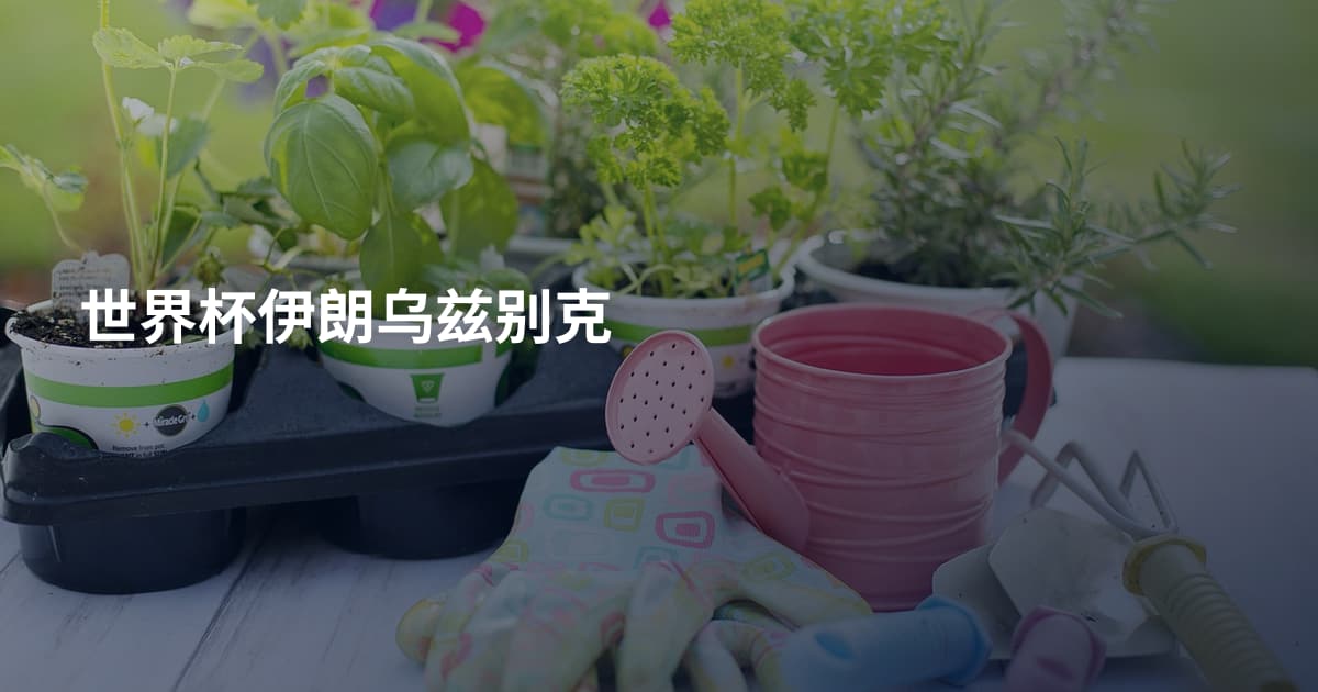 世界杯伊朗乌兹别克