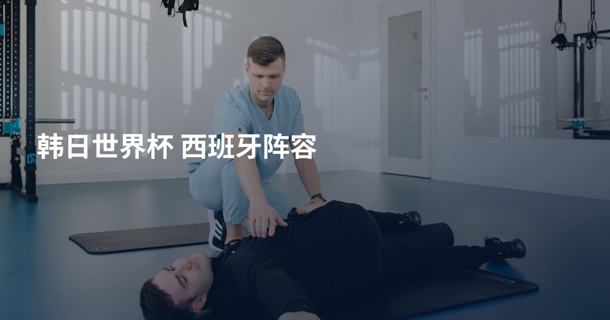 韩日世界杯 西班牙阵容