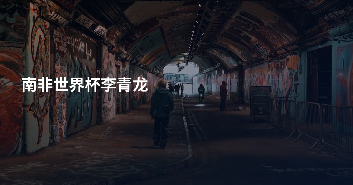 南非世界杯李青龙
