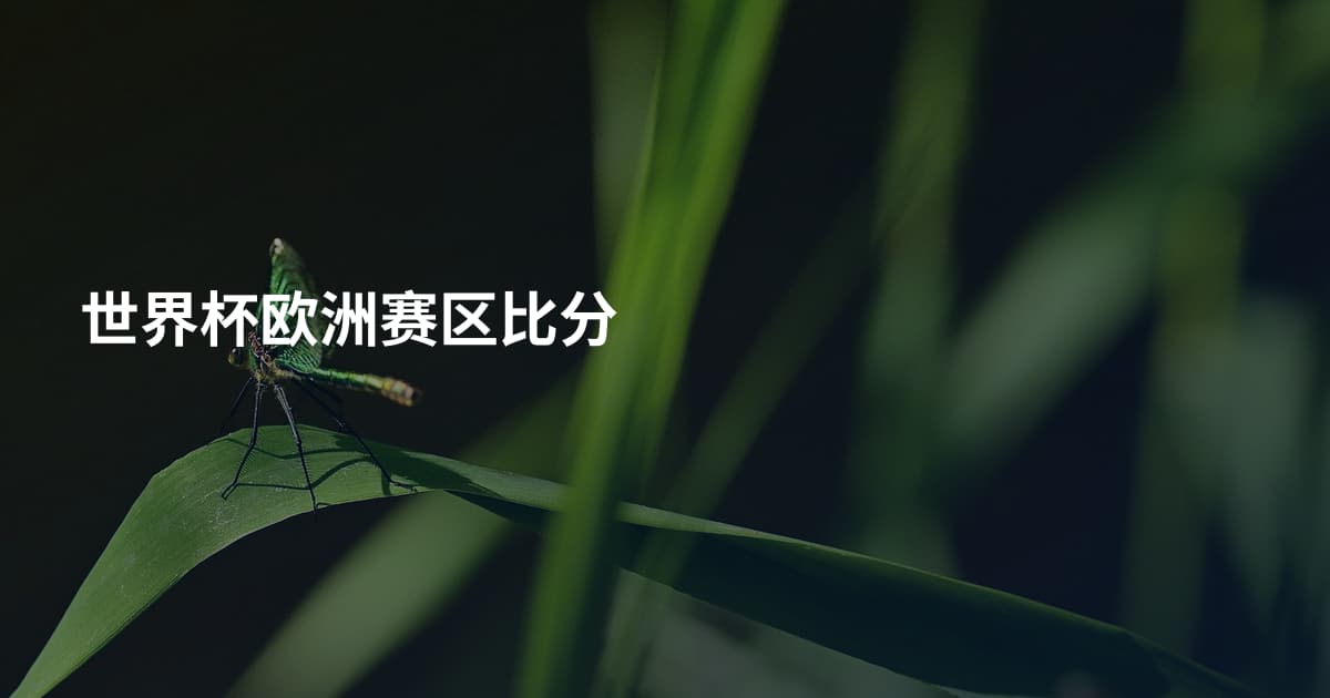 世界杯欧洲赛区比分