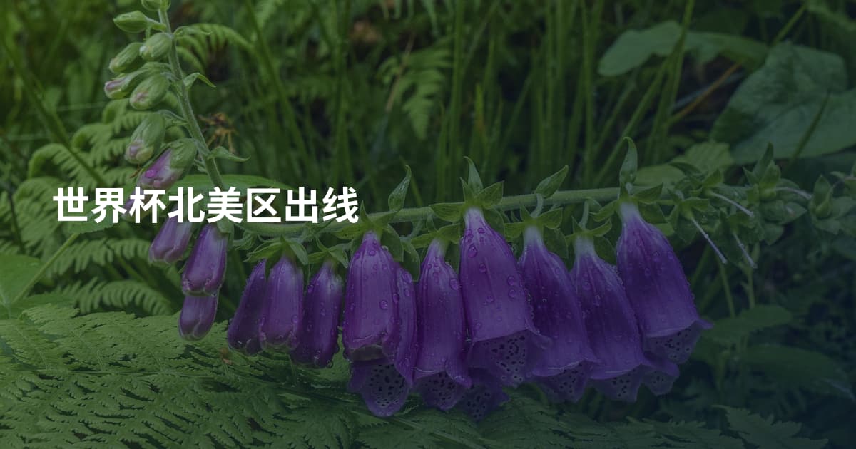 世界杯北美区出线