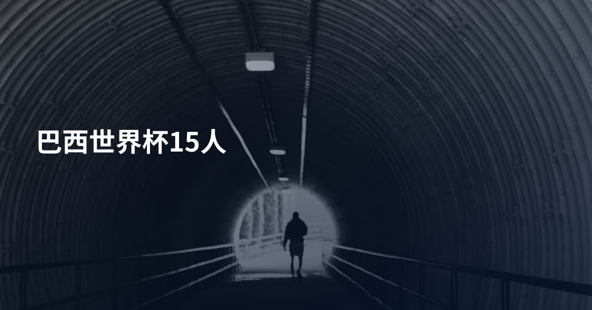 巴西世界杯15人
