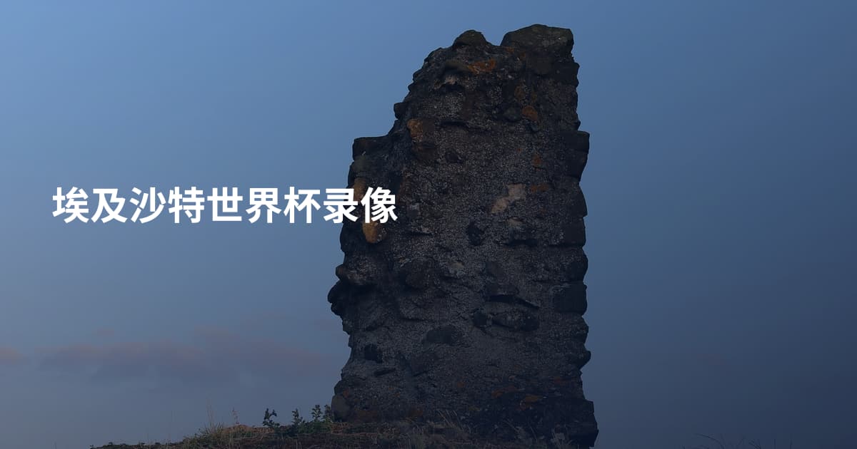 埃及沙特世界杯录像