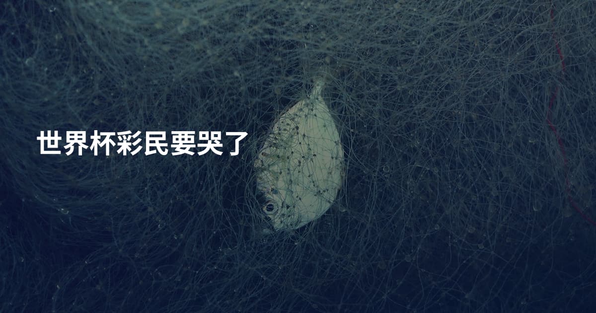 世界杯彩民要哭了