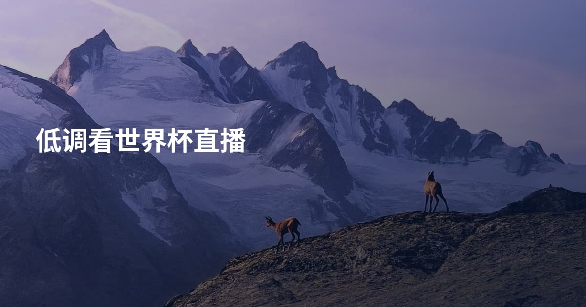 低调看世界杯直播