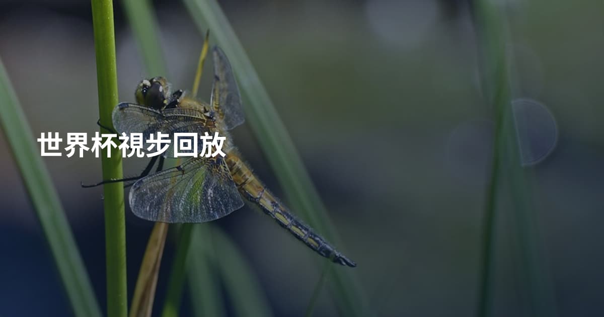 世界杯視步回放