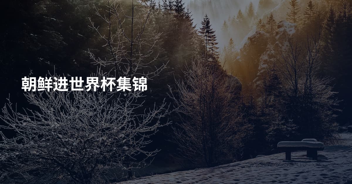 朝鲜进世界杯集锦