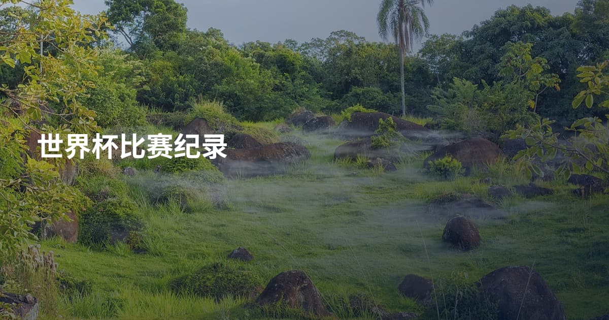 世界杯比赛纪录