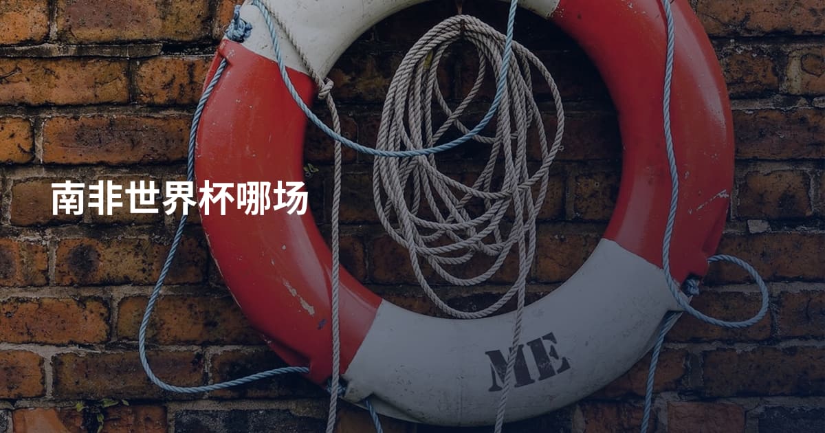 南非世界杯哪场