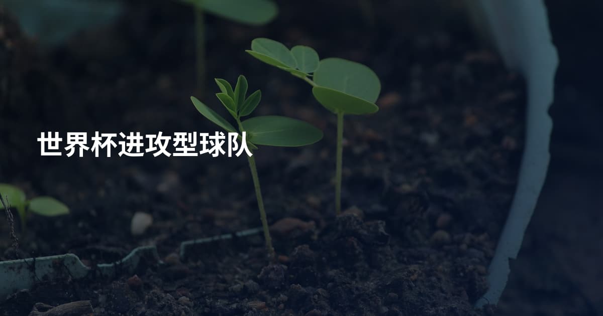 世界杯进攻型球队