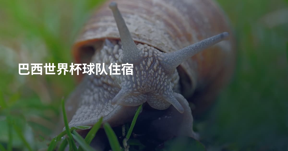 巴西世界杯球队住宿