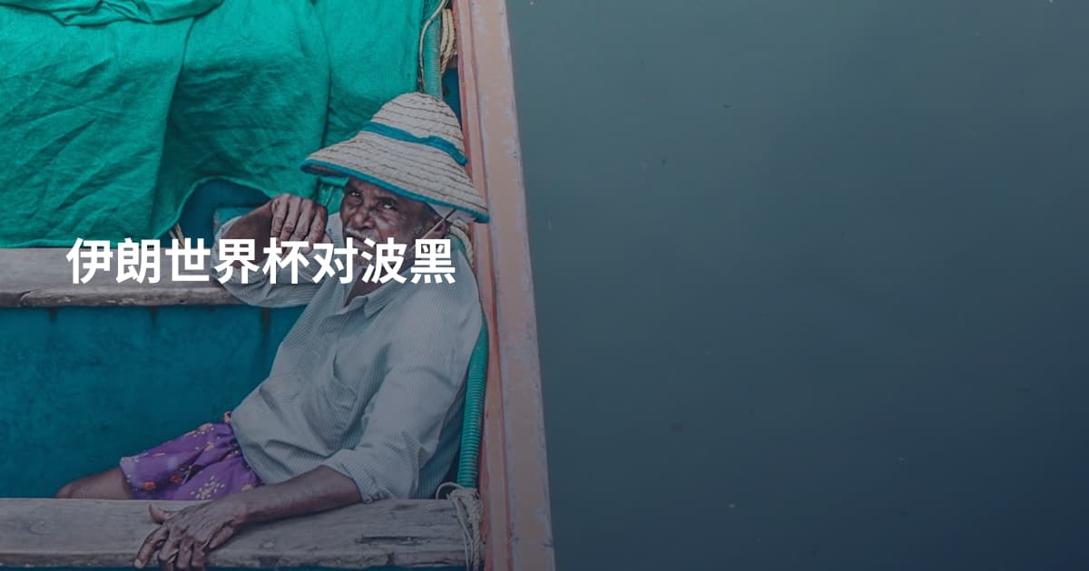 伊朗世界杯对波黑