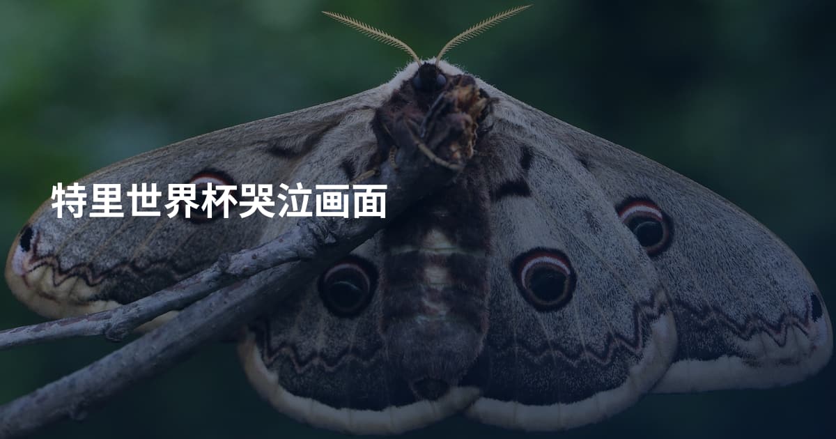 特里世界杯哭泣画面