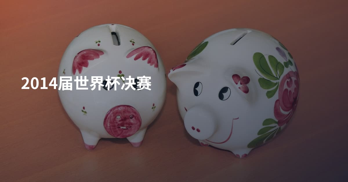 2014届世界杯决赛
