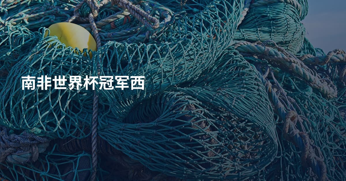 南非世界杯冠军西