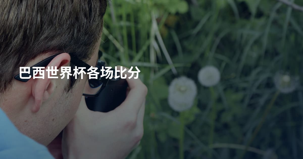 巴西世界杯各场比分