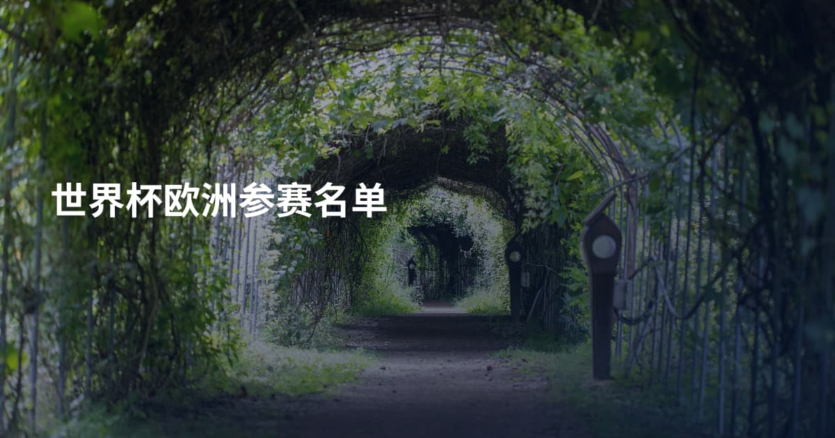 世界杯欧洲参赛名单
