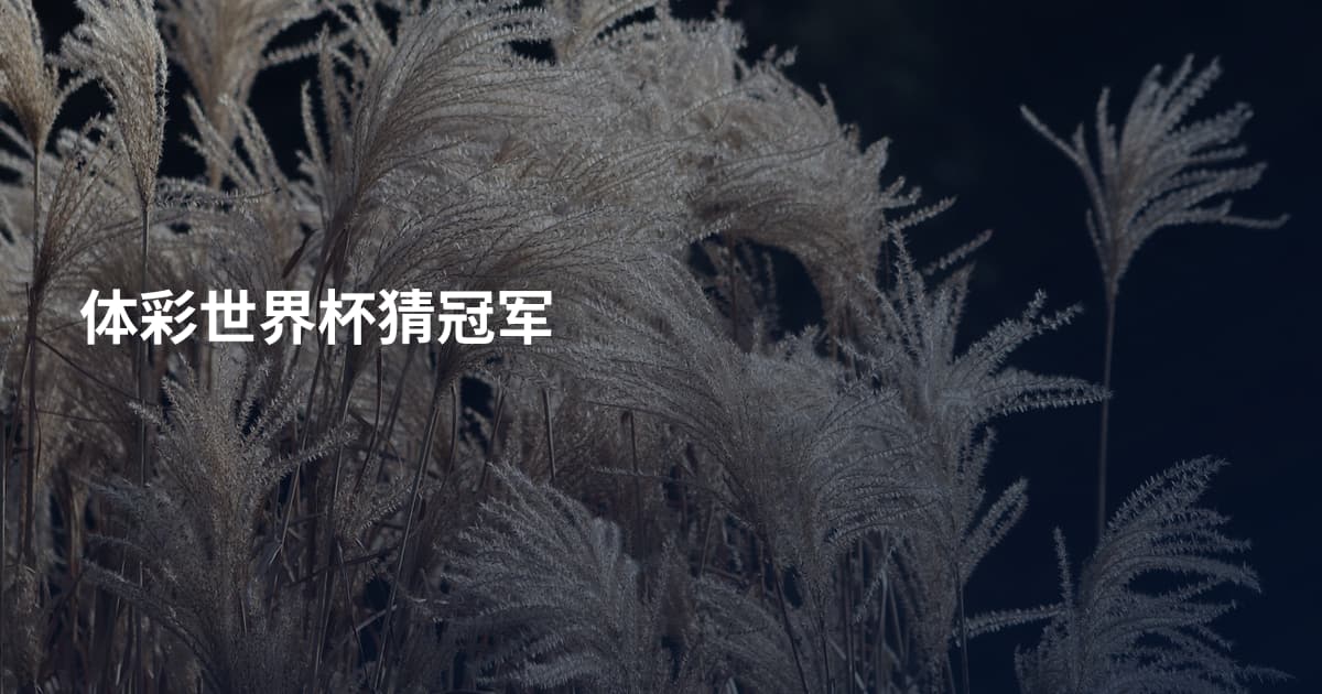 体彩世界杯猜冠军