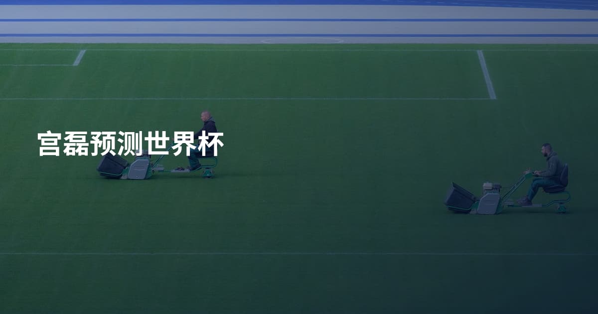 宫磊预测世界杯