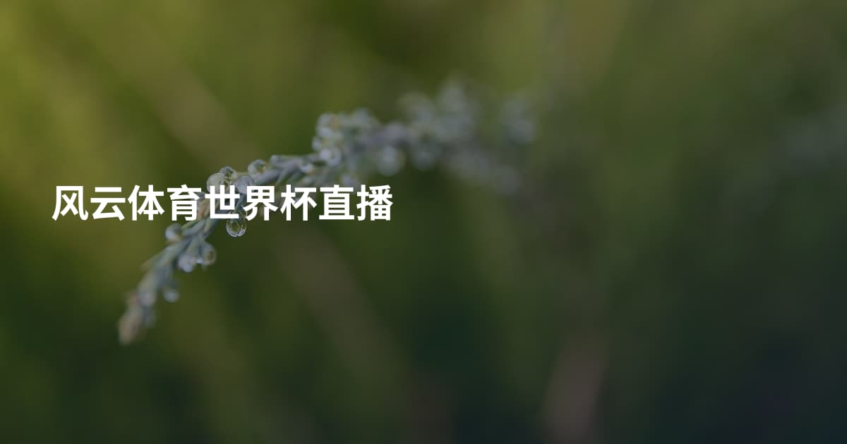 风云体育世界杯直播