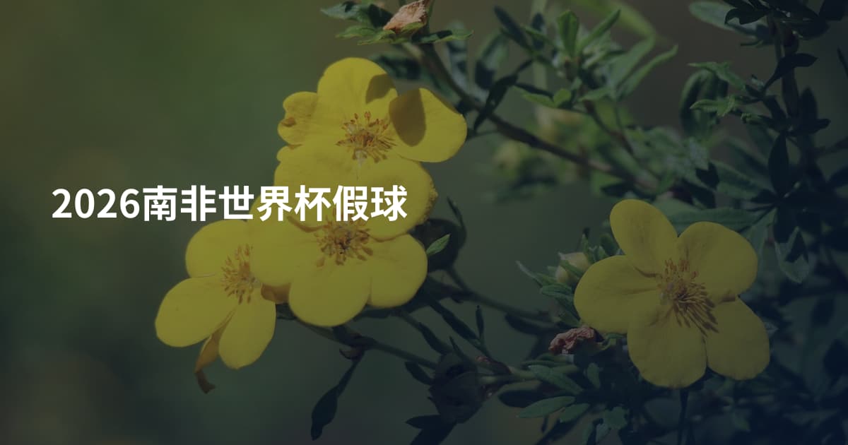 2026南非世界杯假球