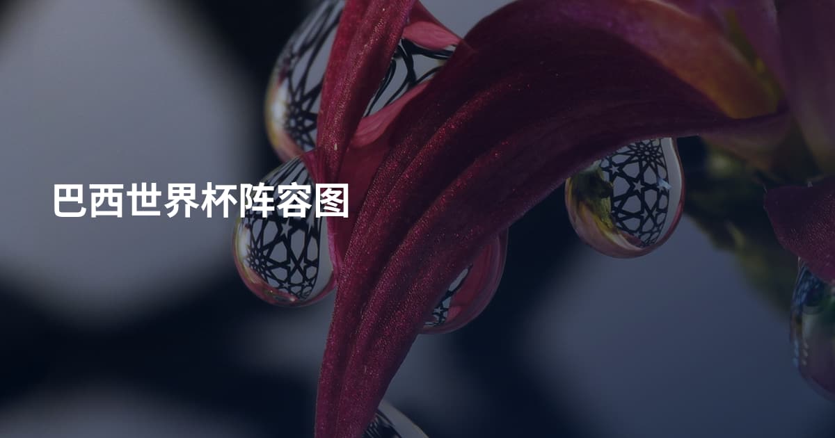 巴西世界杯阵容图