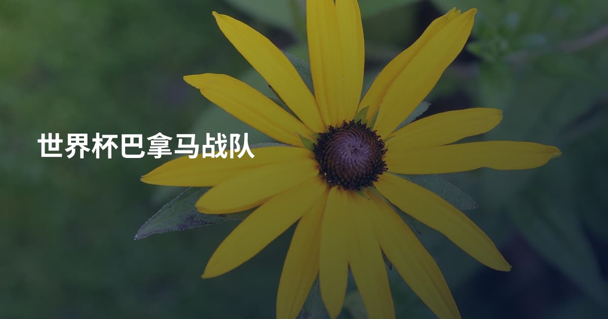 世界杯巴拿马战队