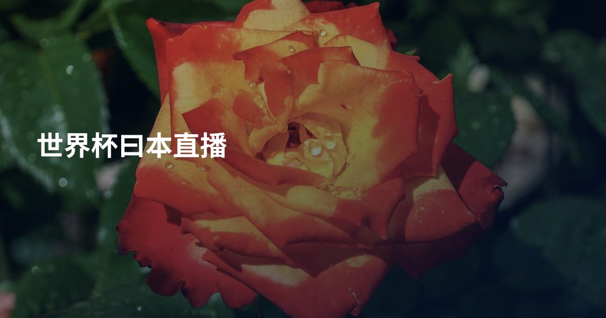 世界杯曰本直播